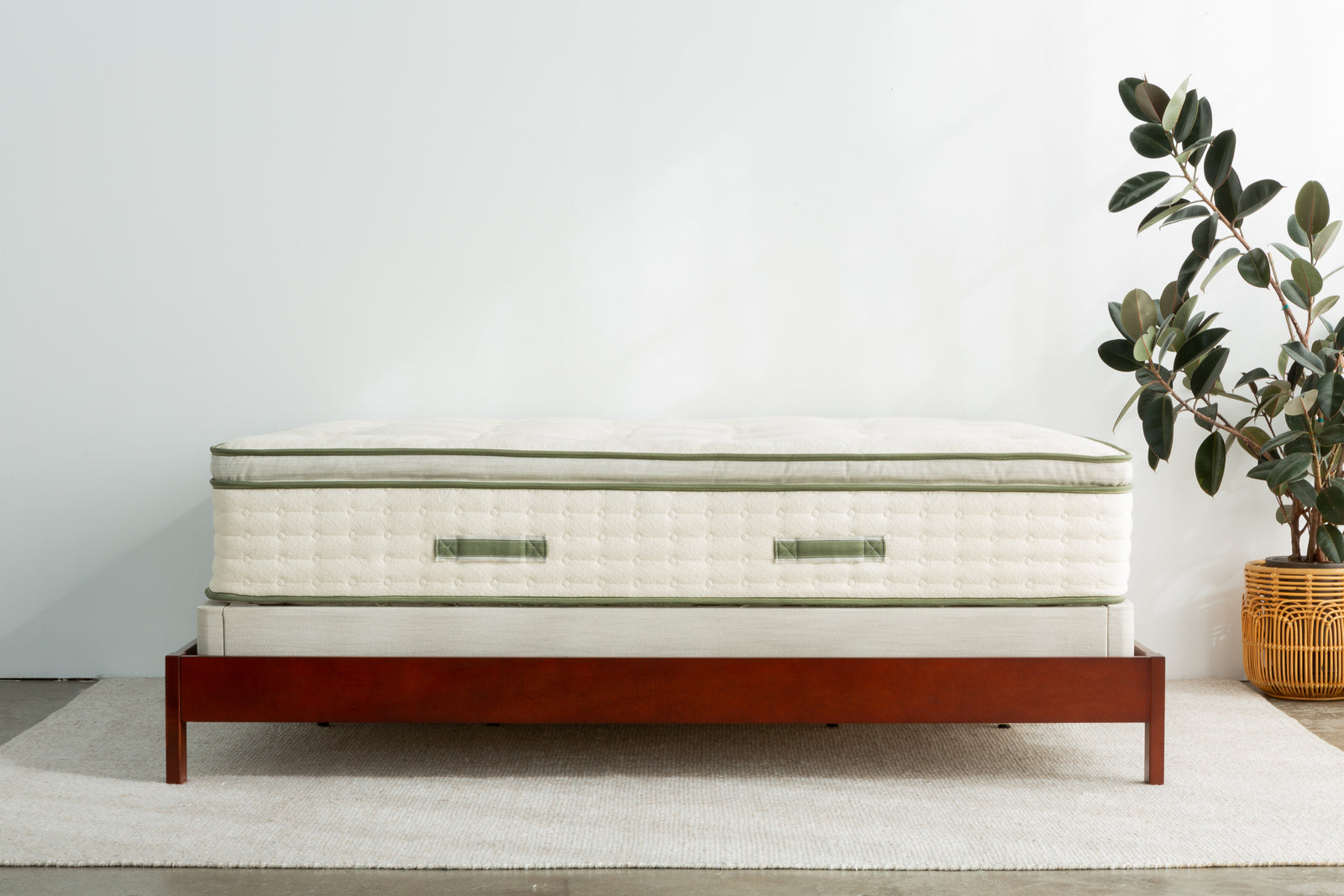 Avocado Green Euro Pillow Top Mattress