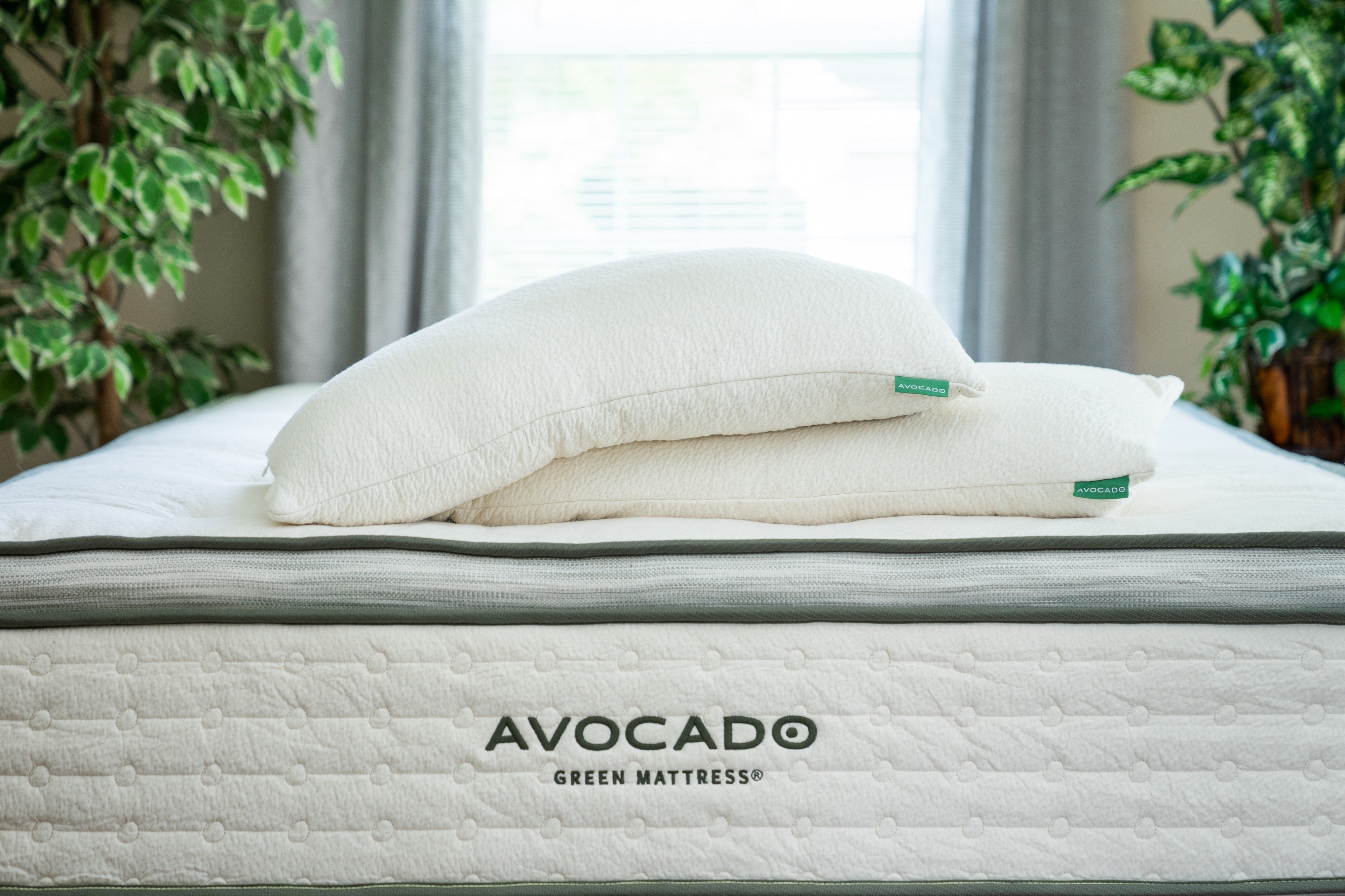 Avocado mattress pillow hotsell